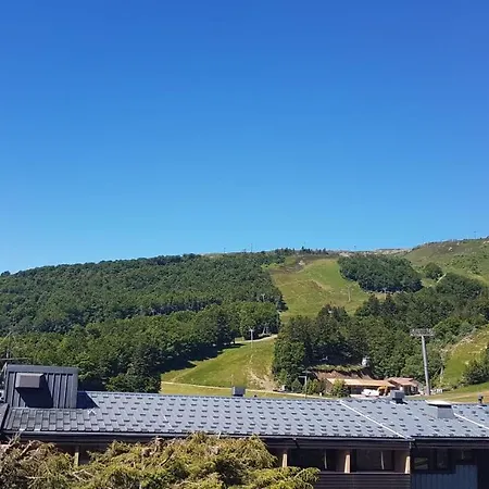 La Foret Au Pres Des Pistes. 36m² *