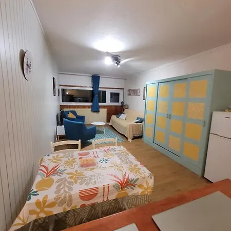 Apartamento La Foret Au Pres Des Pistes. 36m² Besse-et-Saint-Anastaise